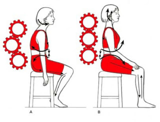 bloomington il chiropractor, brugger posture relief